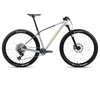 Orbea ALMA M21 S Halo Silver (Gloss) - Shark Grey (Matt)