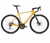 Orbea GAIN D50 XS Mango (Gloss) - Black (Matt)