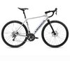 Orbea GAIN D40 Metallic Silver (Matt) - Black (Gloss