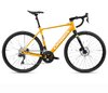 Orbea GAIN D30i S Mango (Gloss) - Black (Matt)