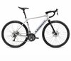 Orbea GAIN D50 20mph L Metallic Silver (Matt) - Black (Gloss)