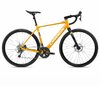 Orbea GAIN D40 20mph XS Mango (Gloss) - Black (Matt)