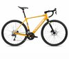 Orbea GAIN D30i 20mph XS Mango (Gloss) - Black (Matt)