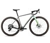 Orbea TERRA M21eTEAM 1X S Stone Silver - Ice Green