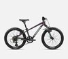 Orbea MX 20 XC Purple (Matt) - Mint (Gloss)