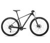 Orbea ONNA 29 40 S Black (Gloss) - Silver (Matte)