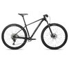 Orbea ONNA 29 10 S Black (Gloss) - Silver (Matte)