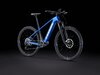 Trek Powerfly4 625w EU M 29 Gloss Alpine/Gloss Lithium