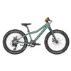 Scott Roxter 20 green - Land Green - One size